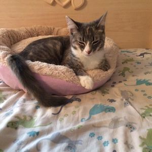 Meet your Posher, Jillian